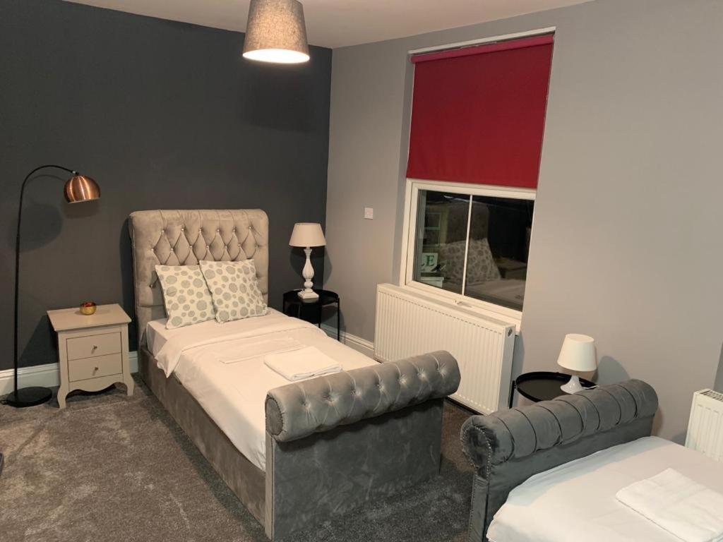 Spacious, Bright Twin Studio Apartment 伦敦 外观 照片